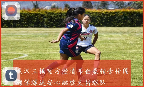 武汉三镇官方澄清韦世豪转会传闻确保球迷安心继续支持球队