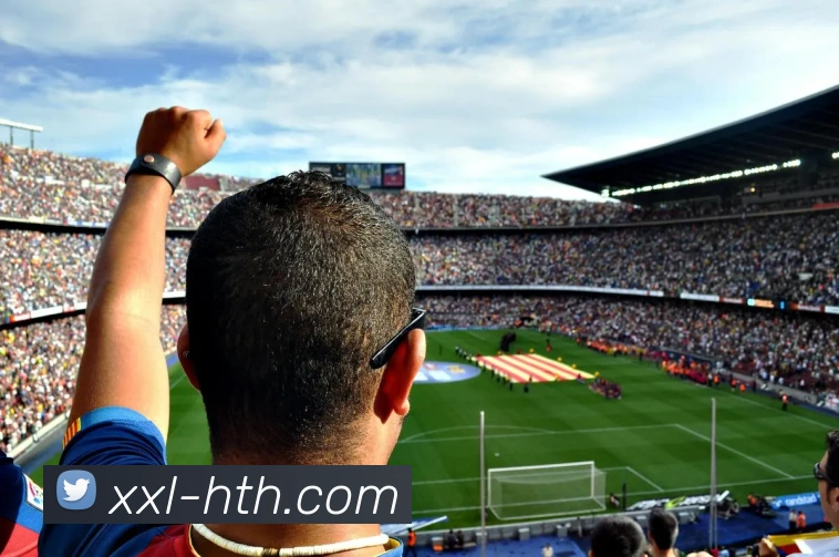 hth体育平台生态图